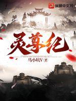 灵尊沈木月结局