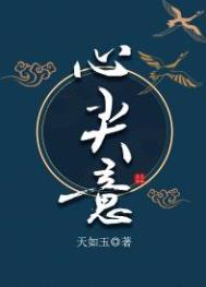 心尖意电视剧